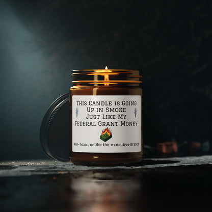 Soy Candle 9 oz - This candle is going up in smoke, just like my federal grant (Humor)