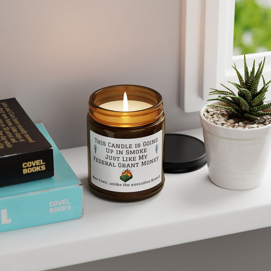 Soy Candle 9 oz - This candle is going up in smoke, just like my federal grant (Humor)